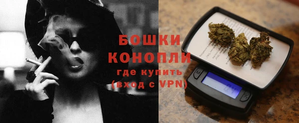 прущие крисы Новозыбков