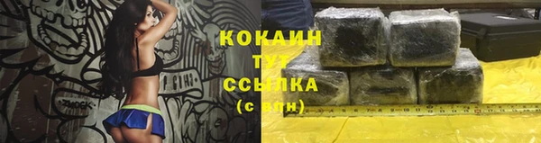 круглые Новодвинск