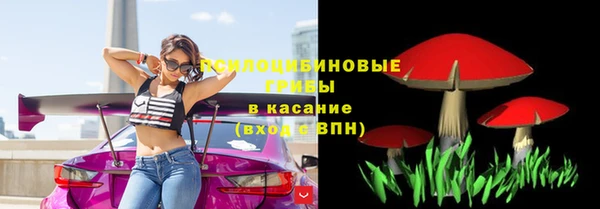 прущие крисы Новозыбков
