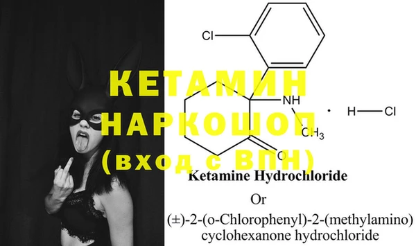 прущие крисы Новозыбков