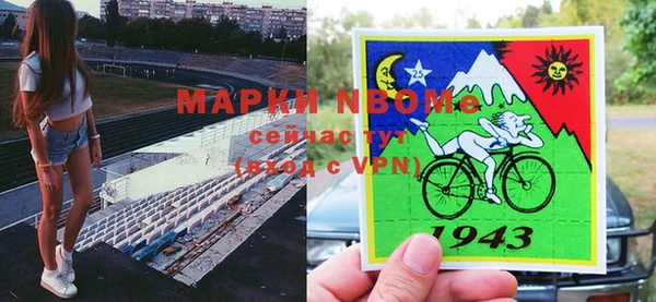 прущие крисы Новозыбков
