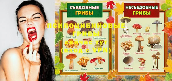 скорость Новокубанск