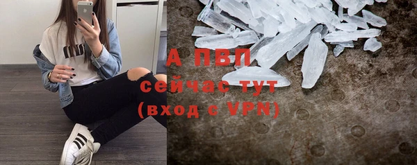 круглые Новодвинск