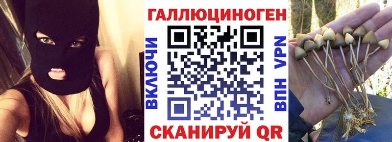 Псилоцибиновые грибы GOLDEN TEACHER  darknet официальный сайт  Новошахтинск  hydra tor 
